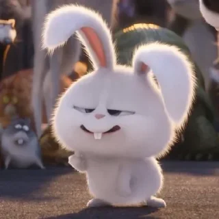 🐰