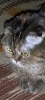 😐