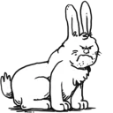 🐰