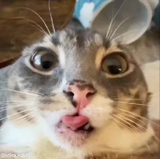 😳
