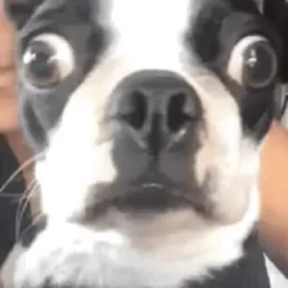 😳
