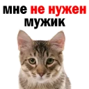 😂