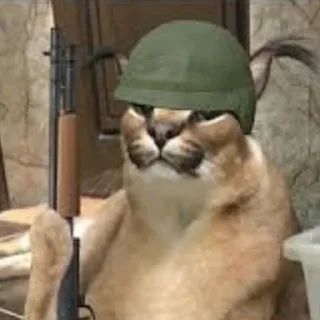😏