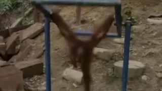 🙈