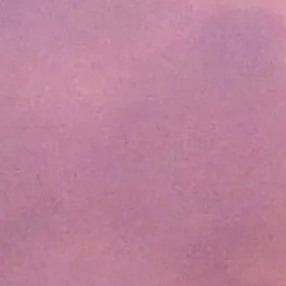 😎