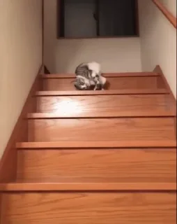 😊