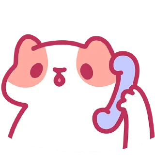 📞