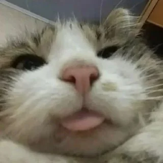 😛