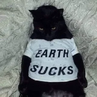 😡