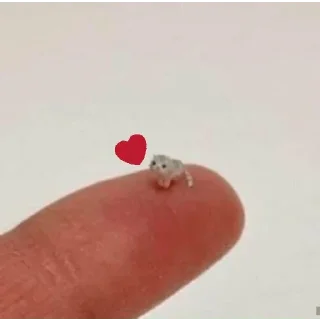 💗