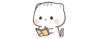 📔