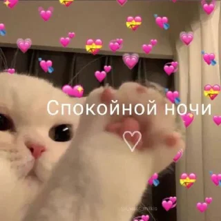 😴