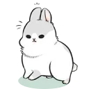 🐰