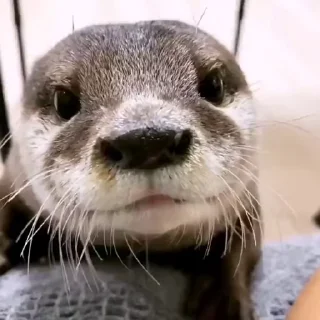 😱