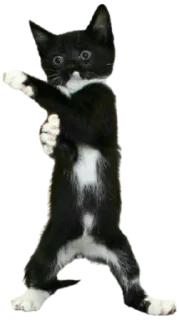 👊