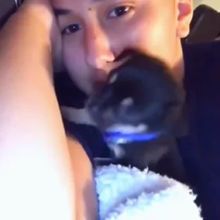 🐩
