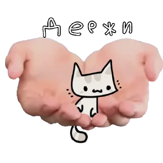🐱