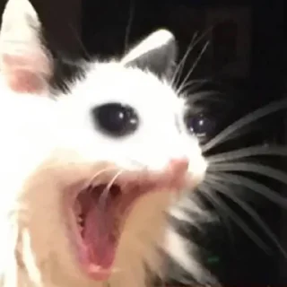 😭