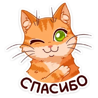 Рыжий кот