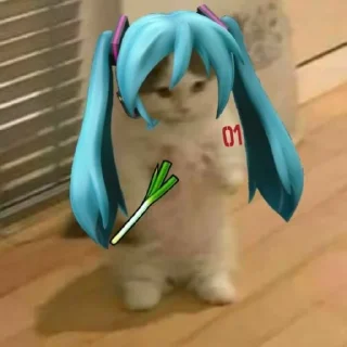🐱