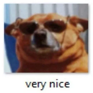 😎
