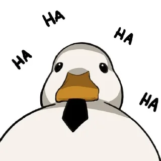 🤣