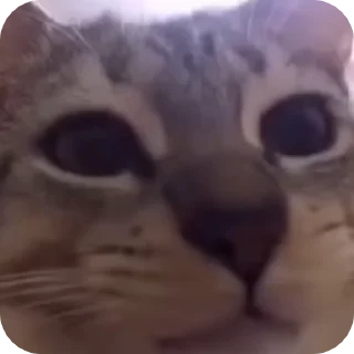 😋