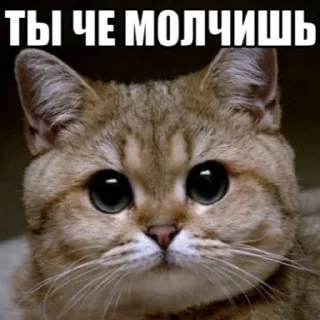 ❔