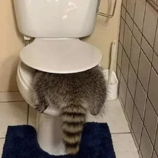 🚽