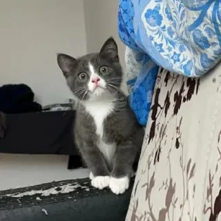 😝