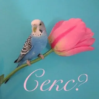 😙