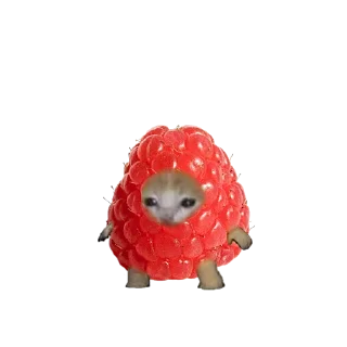 🍓