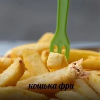 😹