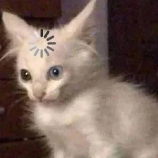 😨