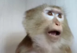 😳