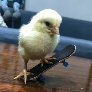 🤩
