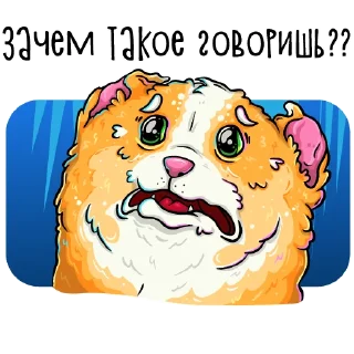 😱