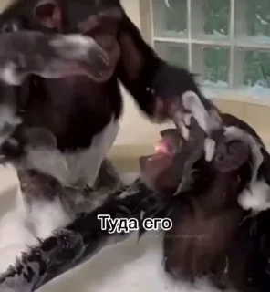 😒