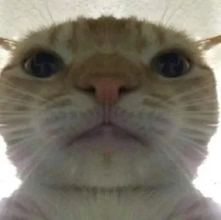 😭
