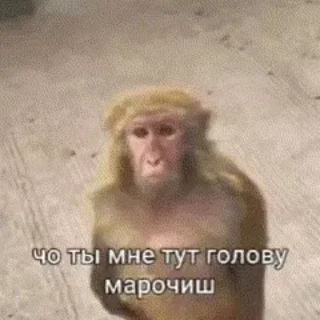 😠