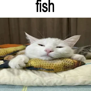 🐈