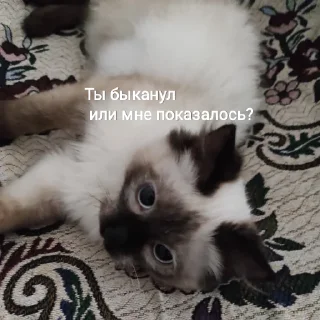 😡
