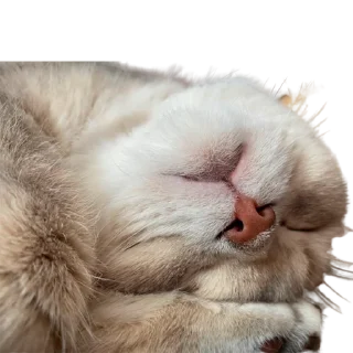 😌