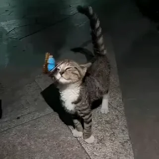 🎈