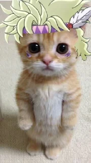 😞
