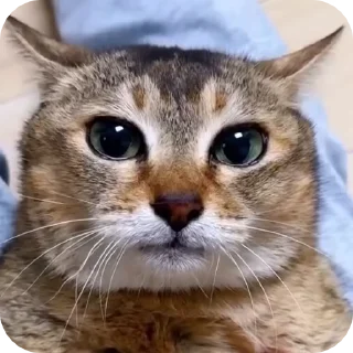 🙂