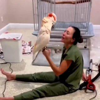 🦜