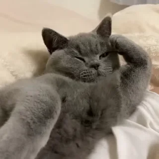 🧶