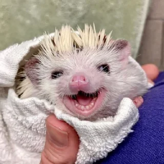 😄