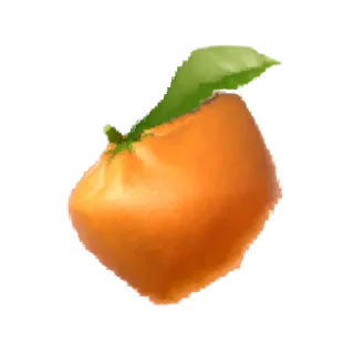🍊